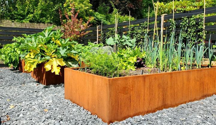 Corten Raised Open Bottom Planter Beds - Plants or Vegetables