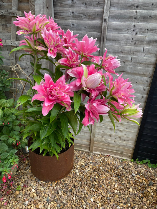 Corten Steel Garden Round Planters