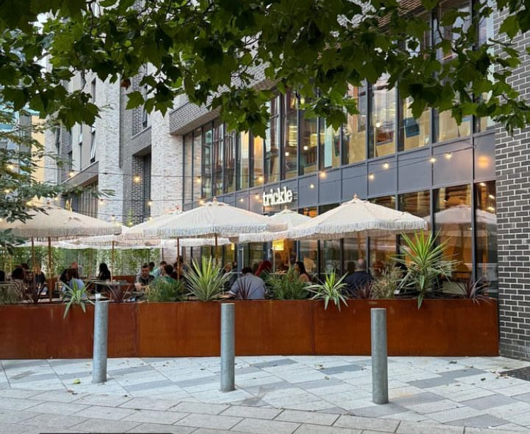 Corten Steel Garden Trough Planters