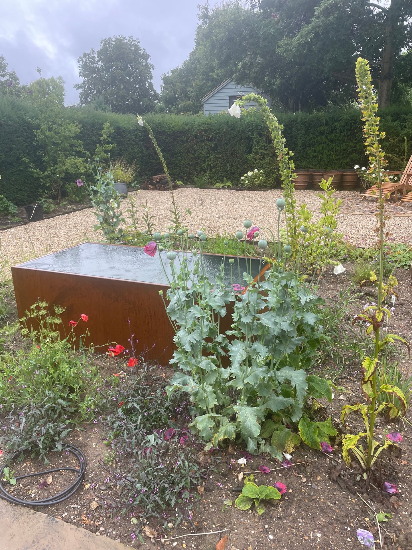 Corten Steel Still Water Ponds and Rills