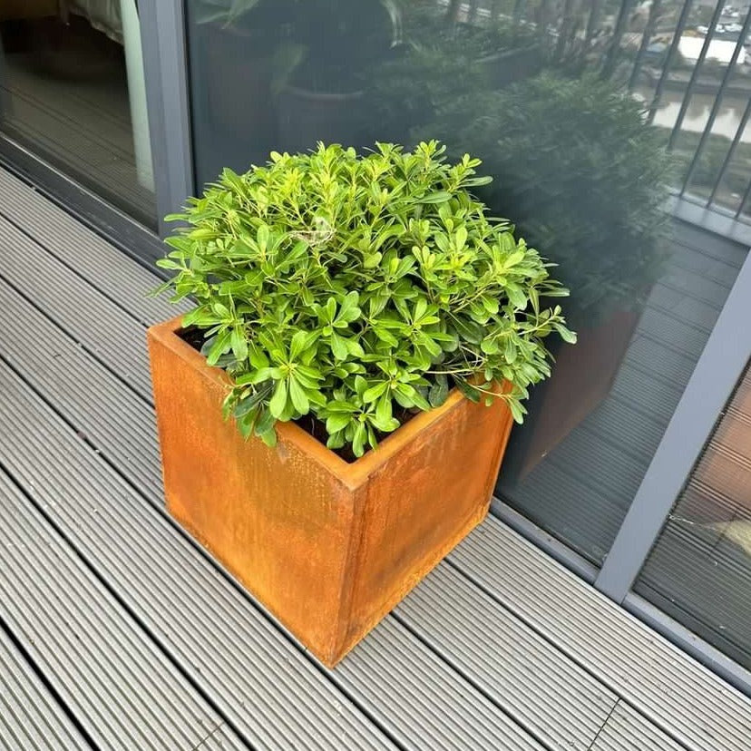 Corten Steel Garden Cube Planters