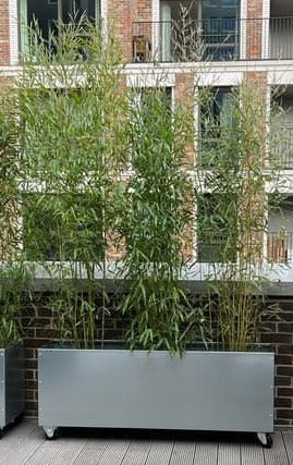 Zinc/galvanised large Planter on wheels for Garden Flowers -shop fronts -restaurant seating area