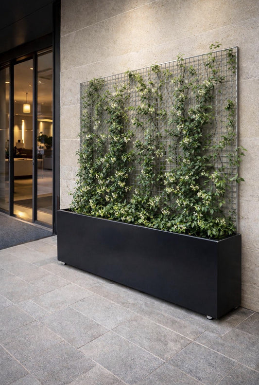 Stainless Steel Powder Coated Planters/Troughs on Castors/Wheels