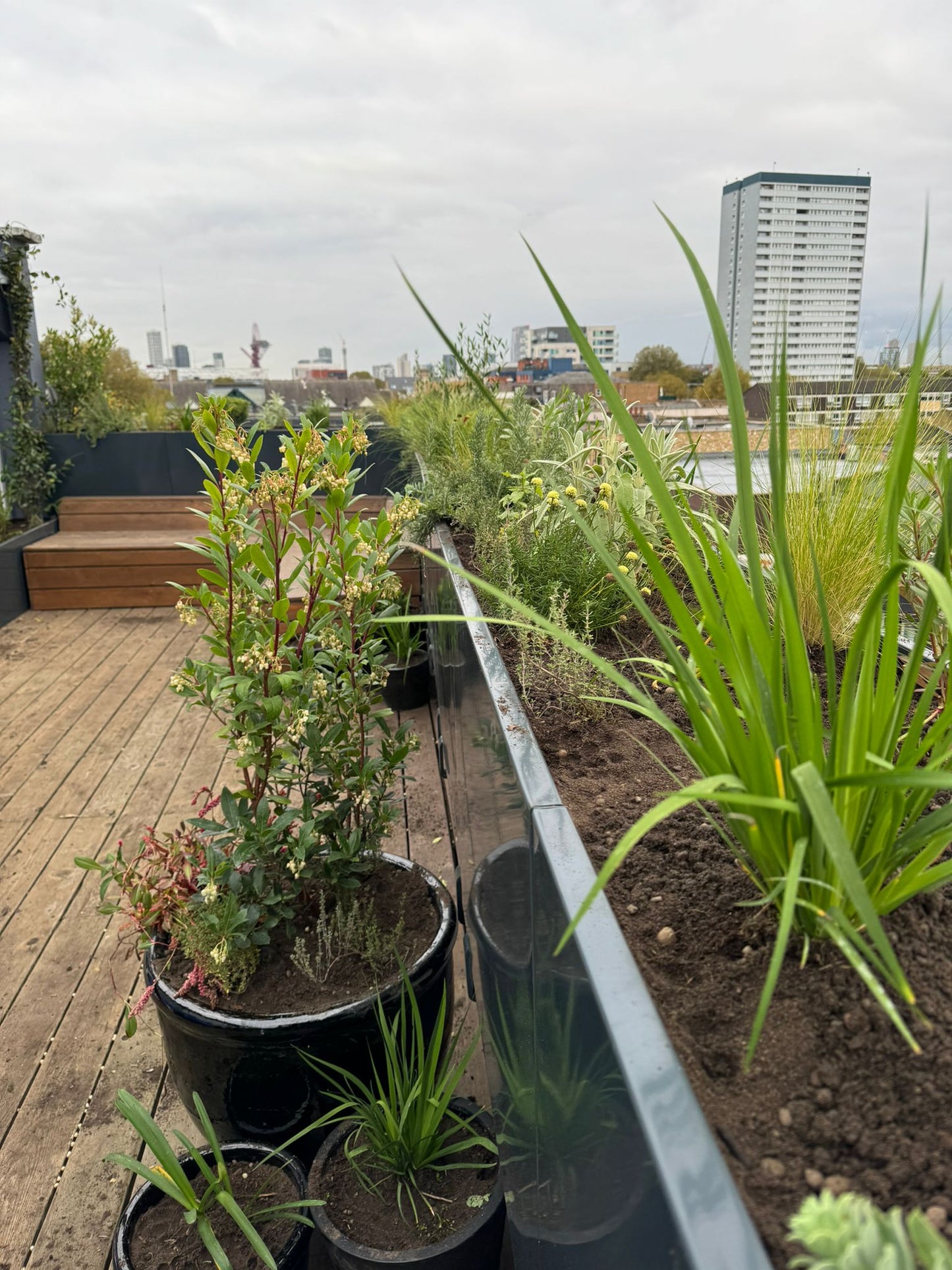 Stainless Steel Modular Wall Planter