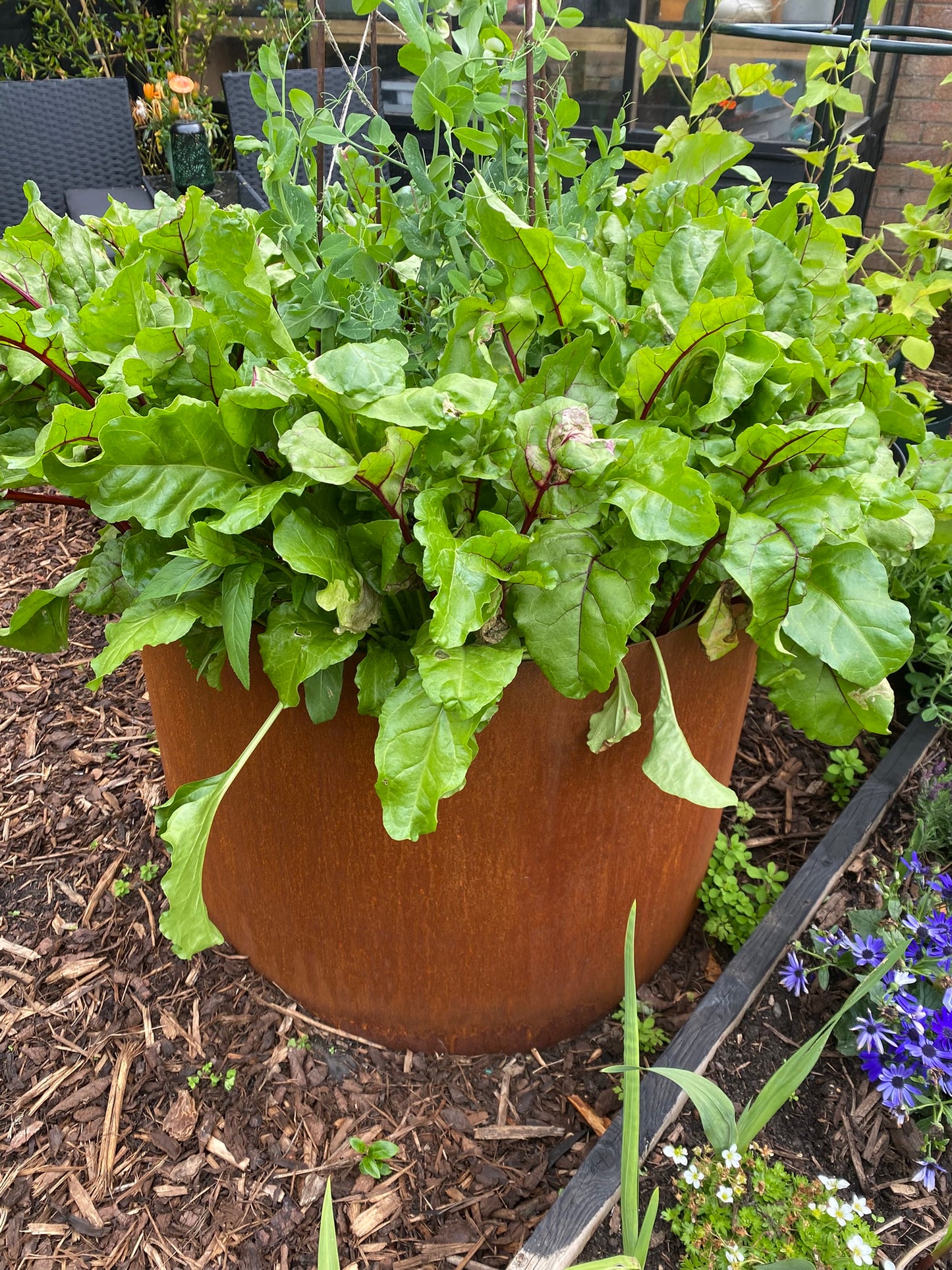 Corten Steel Raised Round Open Bottom Planter Beds