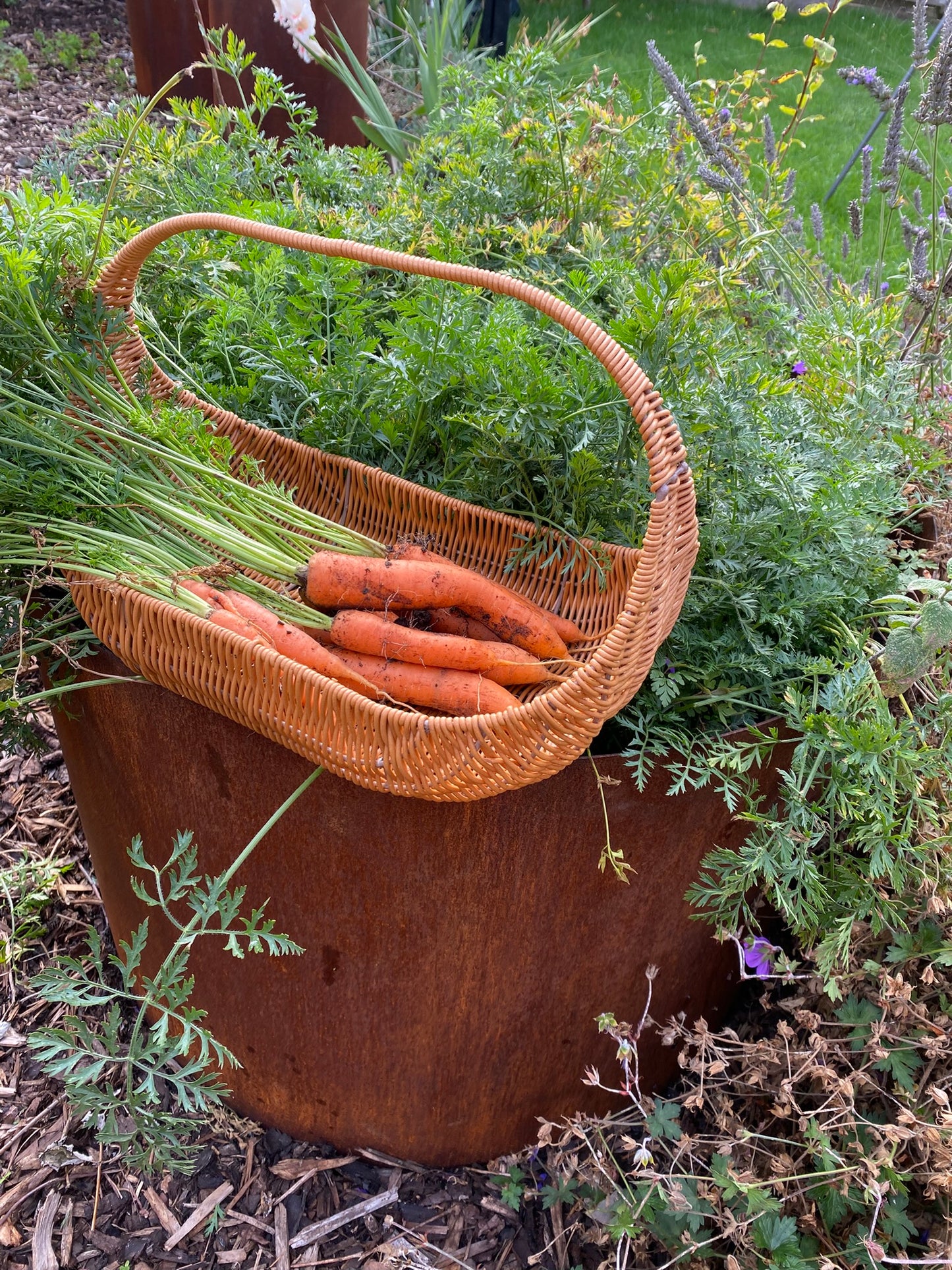 Corten Steel Raised Round Open Bottom Planter Beds