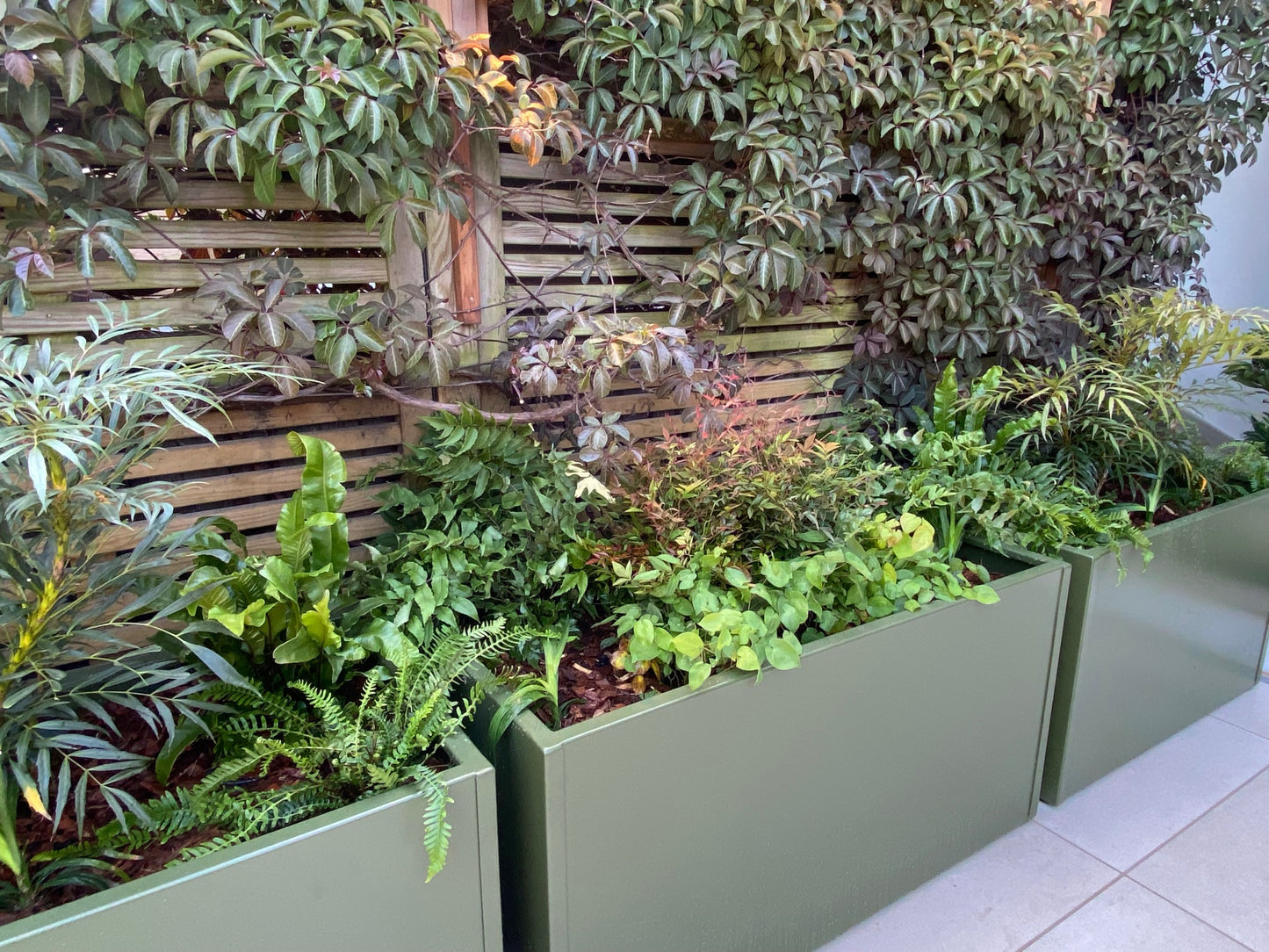 Stainless Steel Powder Coated Planter/Trough