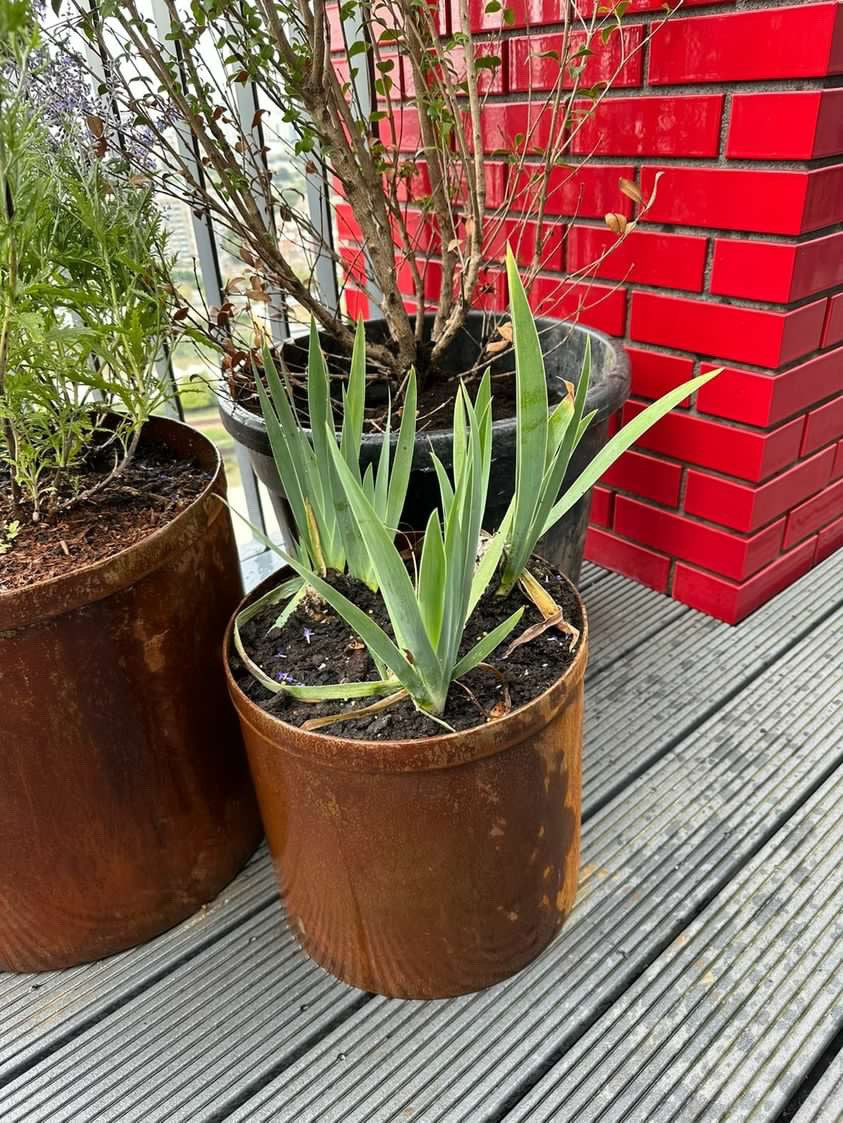 Corten Steel Garden Round Planters