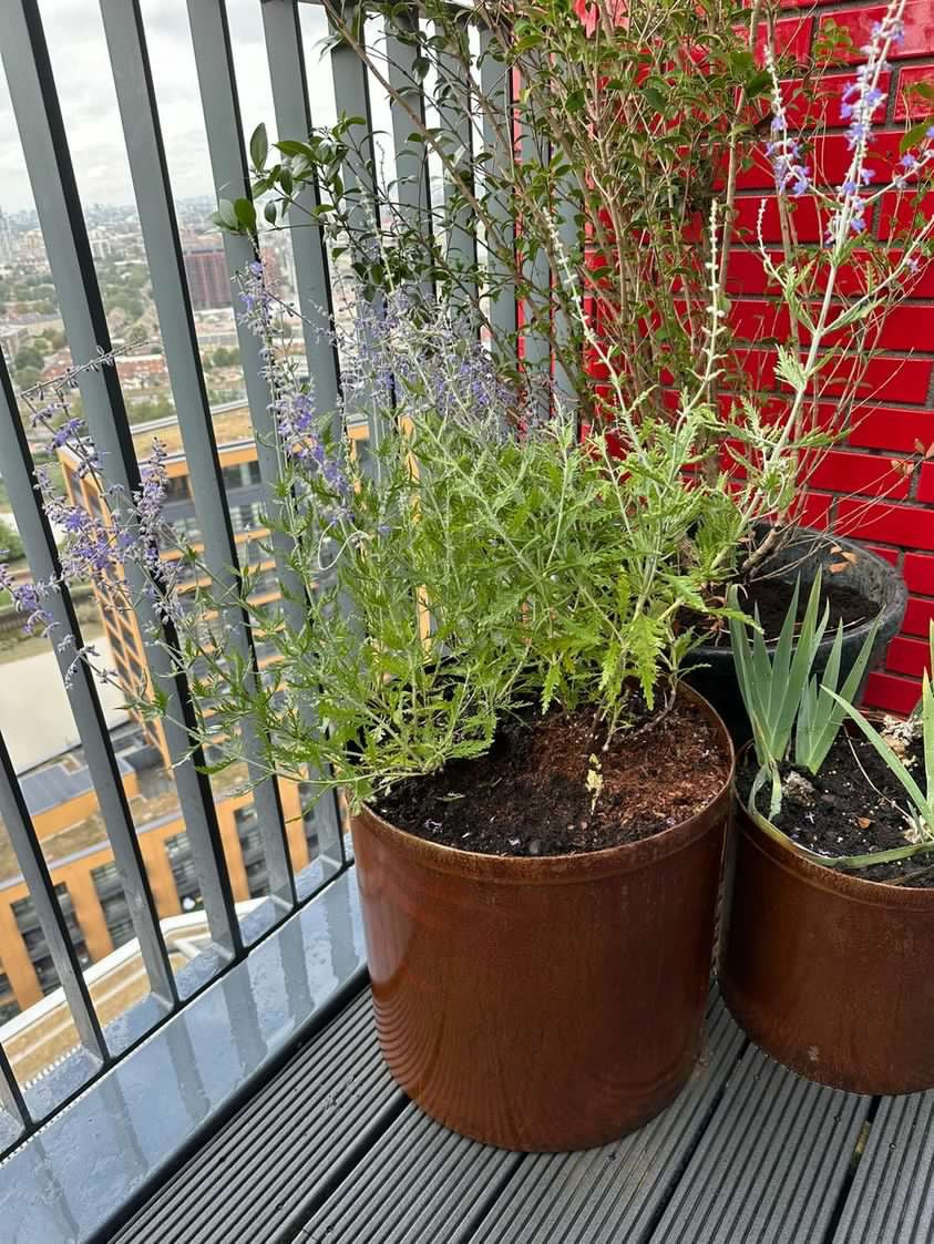 Corten Steel Garden Round Planters