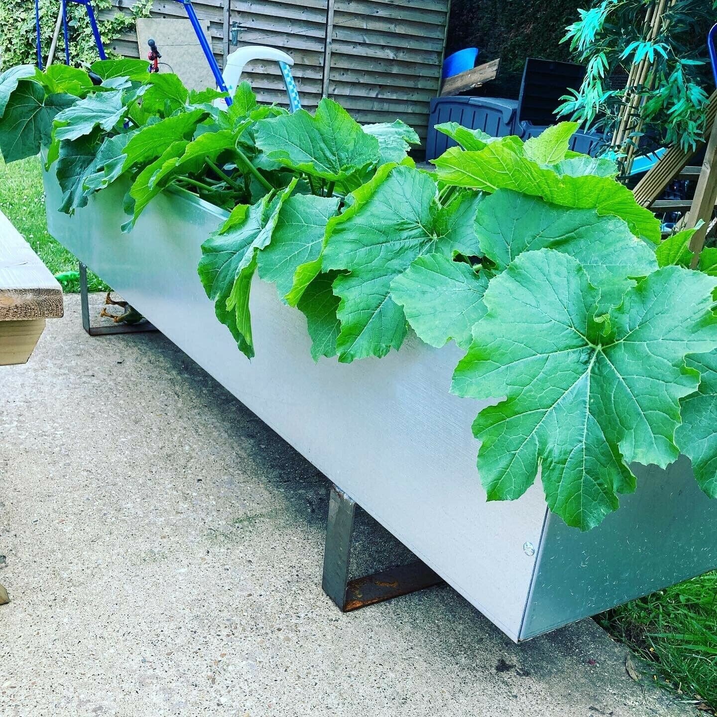 Large Galvanised Trough 2m/Garden Planter/Flower Container
